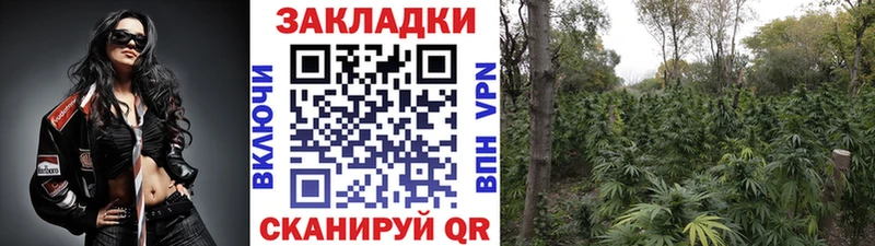 Купить закладку NBOMe  Конопля  Мефедрон  ГАШИШ  КОКАИН  Галлюциногенные грибы  Елизово