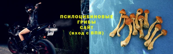 первитин Каменногорск