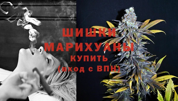 первитин Каменка