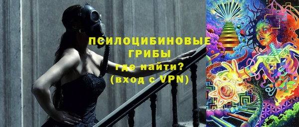 первитин Каменка
