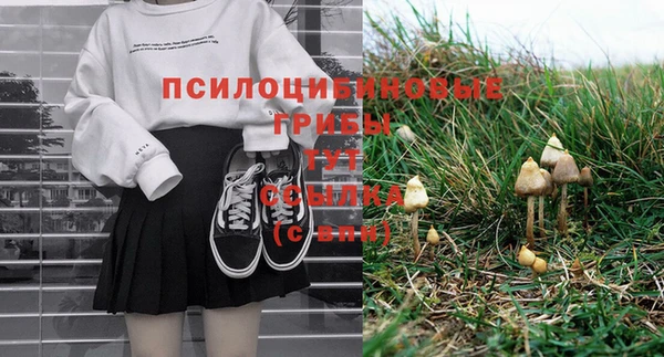 первитин Каменка